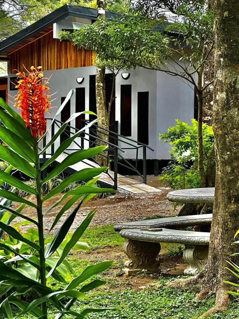 Cabanas Roca Verde Monteverde Exterior foto