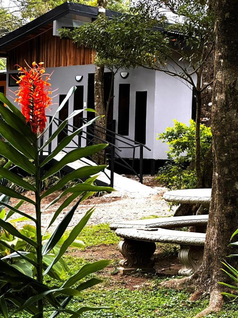 Cabanas Roca Verde Monteverde Exterior foto