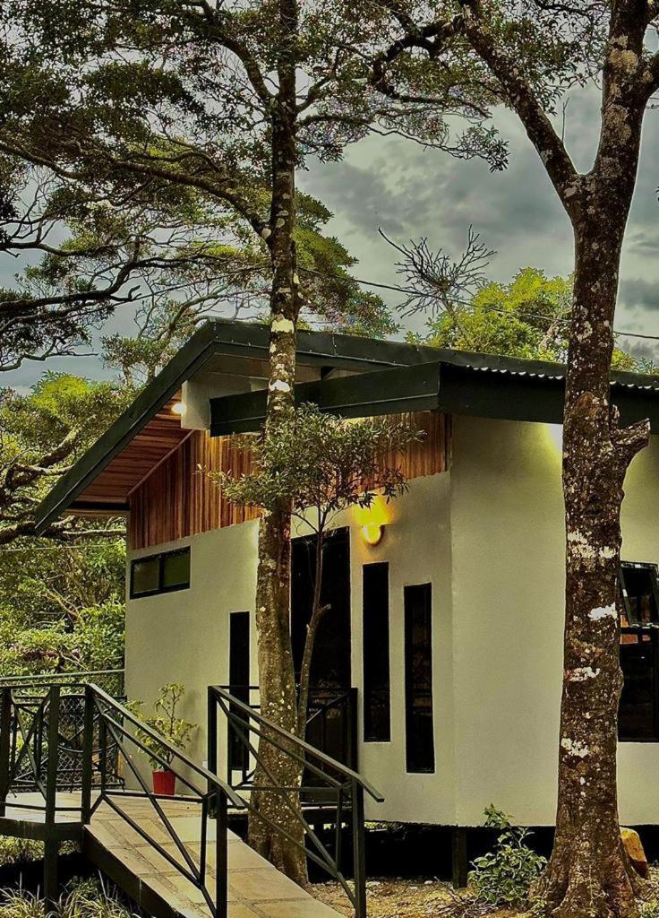 Cabanas Roca Verde Monteverde Exterior foto